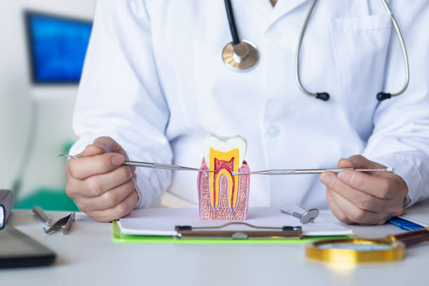 Best Emergency Tooth Extraction in Wolverine Lake, MI